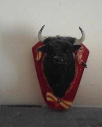 Testa Toro nero da parete decorazione casa negozio