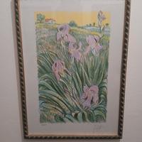 Litografia "Iris" di Azzinari Franco 