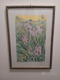 Litografia "Iris" di Azzinari Franco 