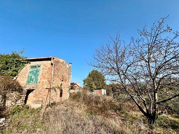 Poli: rustico bifamiliare con terreno