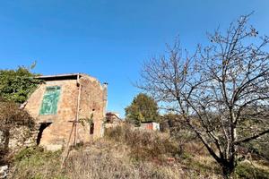 Poli: rustico bifamiliare con terreno