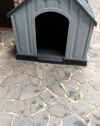 cuccia per cani media/larga taglia 