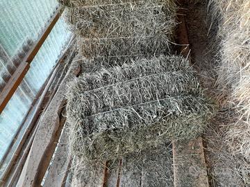 Ballette di fieno rettangolari per animali