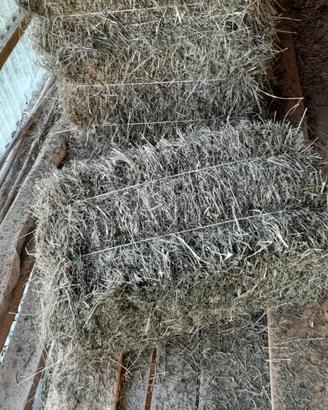 Ballette di fieno rettangolari per animali