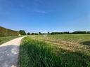 ter-agricolo-a-saccolongo
