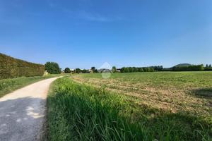 TER. AGRICOLO A SACCOLONGO