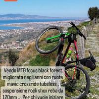 Bici mtb 29