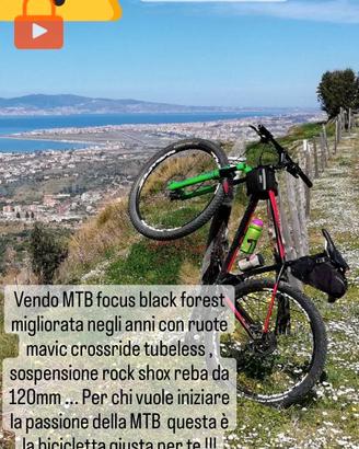 Bici mtb 29