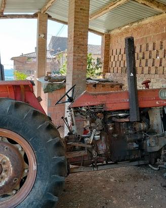  trattore massey ferguson 168