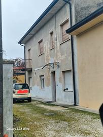 Immobile curtatone