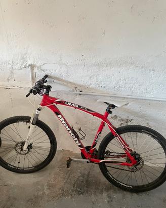 Bianchi Kuma