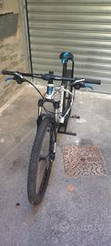 MTB Carraro Tram 527 ruota 27.5