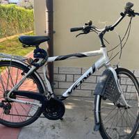 bicicletta marca vicini