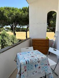 Montalto marina mare 2026