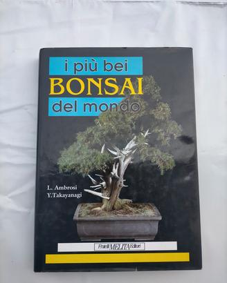 libro Bonsai