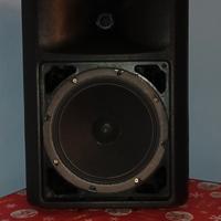 cassa amplificata bluetooth 