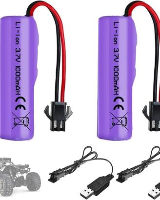 2 Batterie Li-Ion 3.7V 1000mAh Connettore SM-2P
