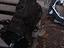 Immagine 3