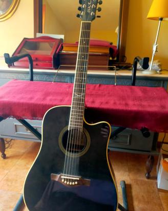 Chitarra Acustica Amplificata Eko