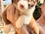 Immagine 3