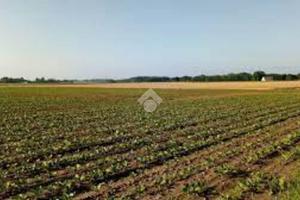 TER. AGRICOLO A GRUMELLO DEL MONTE