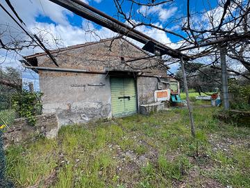 Fabbricato indipendente con 7.000 mq di terreno