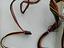 Immagine 4