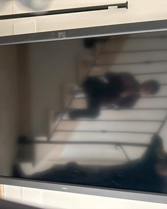 monitor LCD NEC MultiSync V652 da 65 pollici