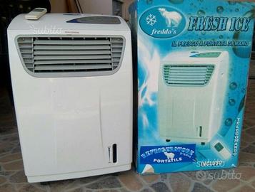 Refrigeratore portatile con telecomando