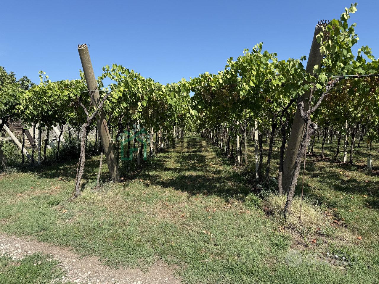 Terreno a San Bonifacio (VR) - Vista 2