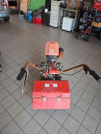 MOTOZAPPA GRILLO BENZINA 