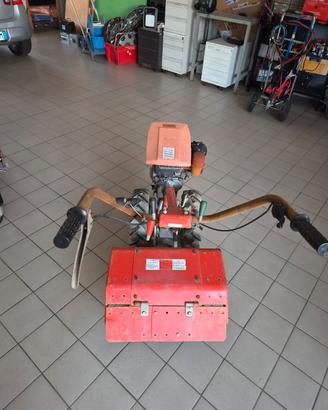 MOTOZAPPA GRILLO BENZINA 