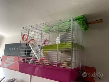 🐹 Super Gabbia per Criceti/Roditori