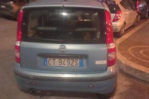 Panda 2005