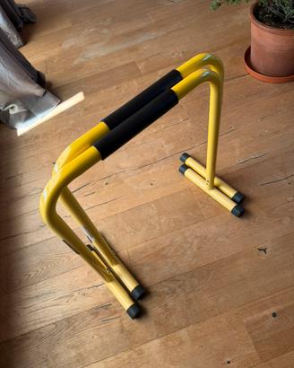 Parallele Calisthenics