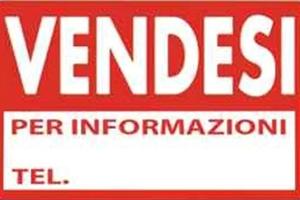 rimorchio frangizolle ed aratro 