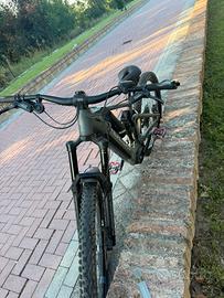 Ebike focus