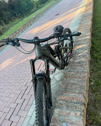 Ebike focus