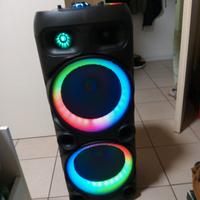 cassa bluetooth+radio+aux+2 microfoni wireless per