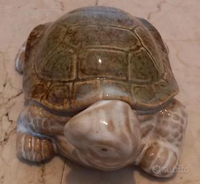 tartaruga ceramica