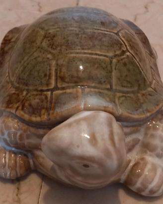 tartaruga ceramica
