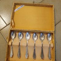 6 CUCCHIAINI PLACATI ARGENTO