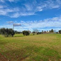 TER. AGRICOLO A GIULIANOVA