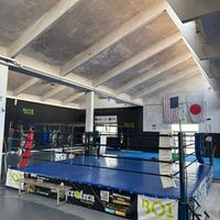 Ring regolamentare boxe kick boxing