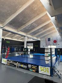 Ring regolamentare boxe kick boxing