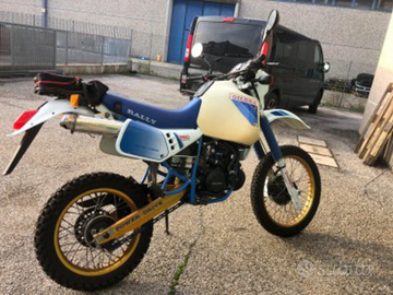 Gilera RX 250 rally