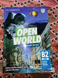 OPEN WORLD italian edition