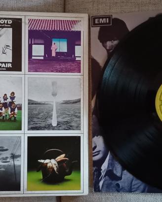 Vinile Pink Floyd - A nice pair