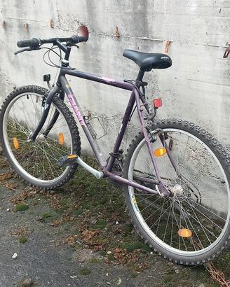 Rampichino 