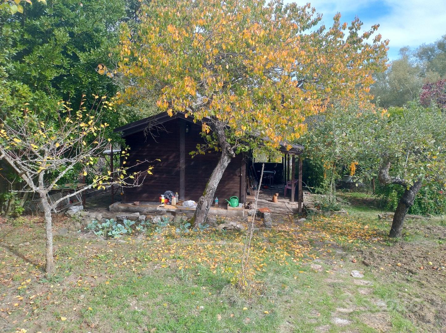 Terreno di 2600mq con casetta di legno di 32mq - Vista 3